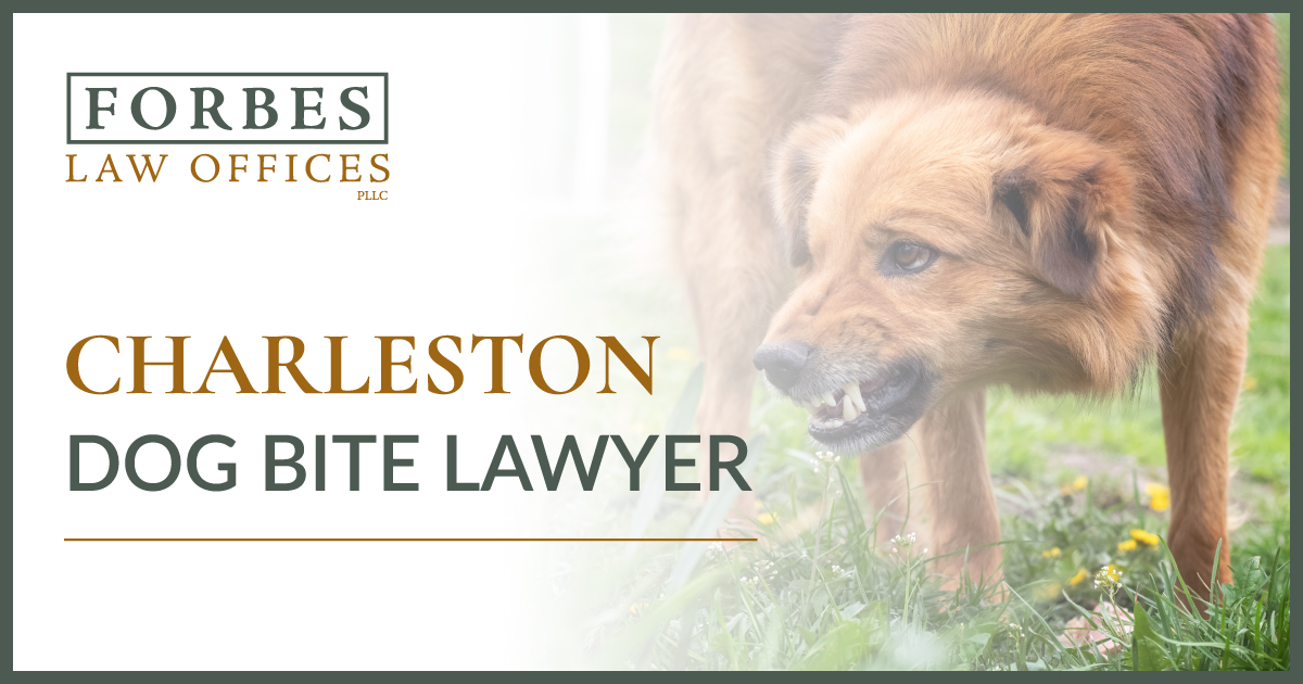 Charleston Dog Bite Lawyer