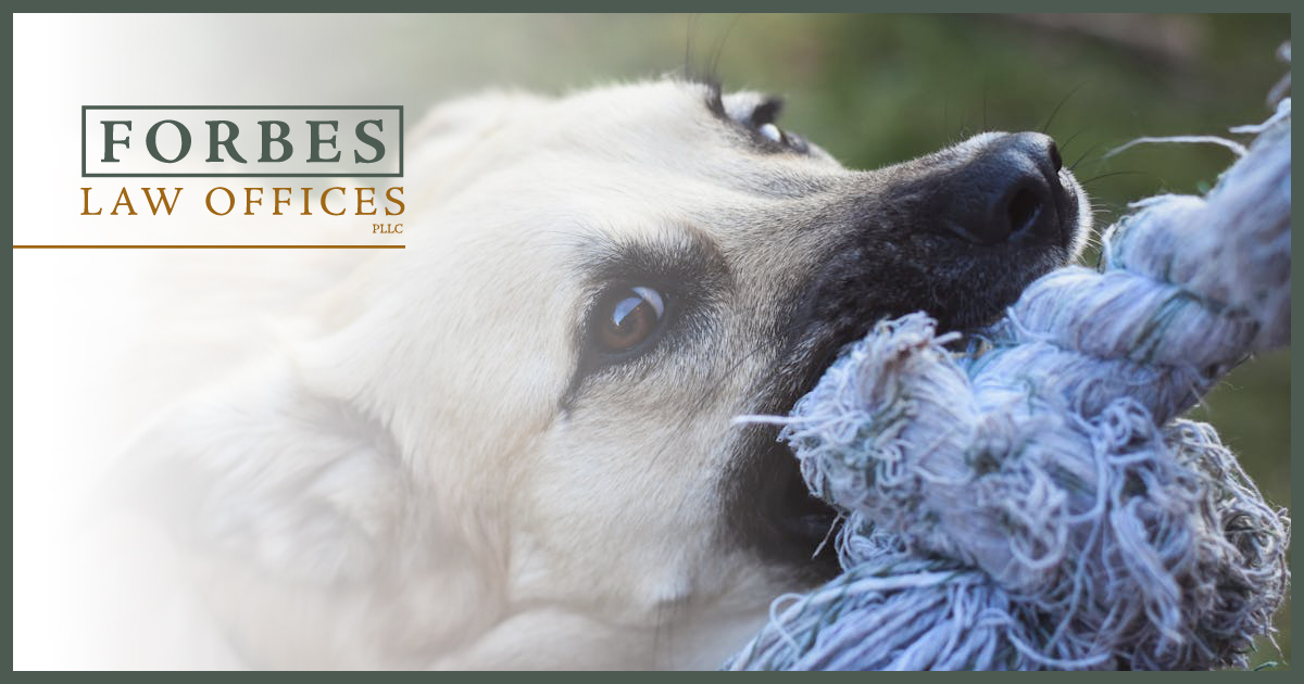 West Virginia Dog Bite Laws